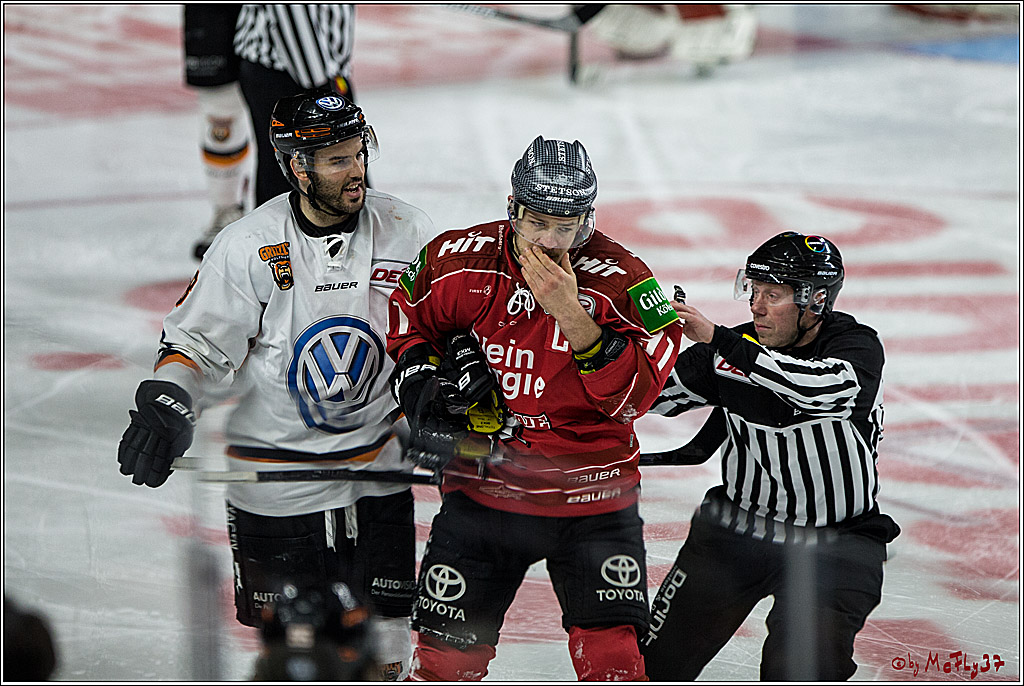 DEL, Koelner Haie - Grizzlys Wolfsburg, 21.03.2017